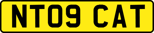 NT09CAT