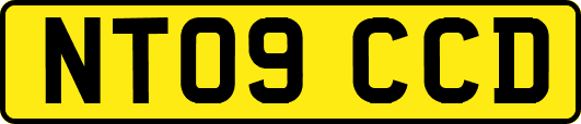 NT09CCD