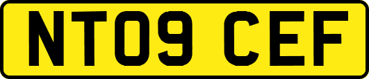 NT09CEF