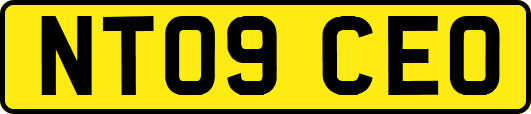 NT09CEO