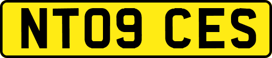 NT09CES