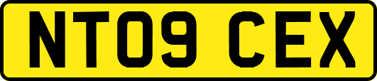 NT09CEX
