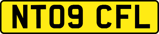 NT09CFL