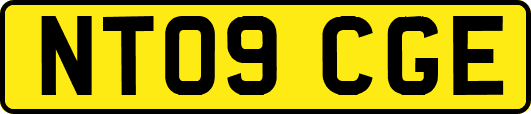 NT09CGE