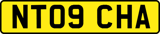 NT09CHA