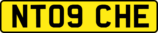 NT09CHE