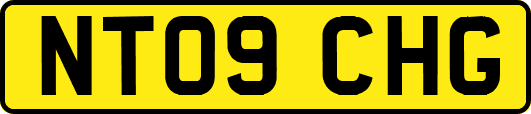 NT09CHG