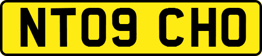 NT09CHO