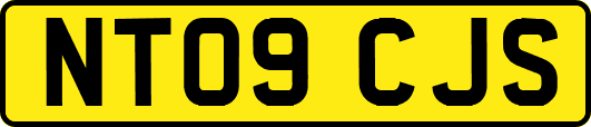 NT09CJS