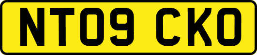 NT09CKO