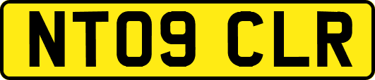 NT09CLR