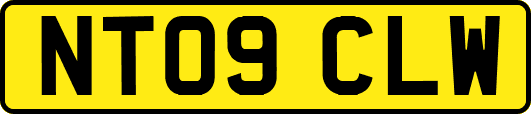 NT09CLW