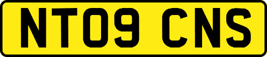 NT09CNS
