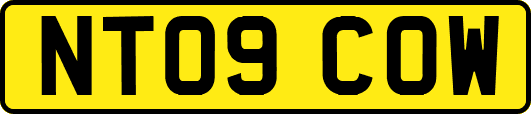 NT09COW