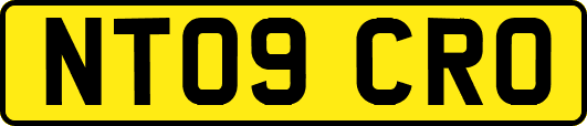 NT09CRO