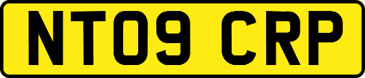 NT09CRP