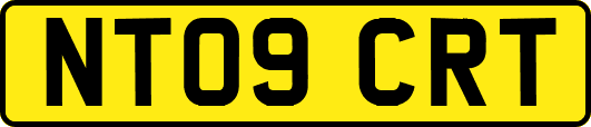 NT09CRT