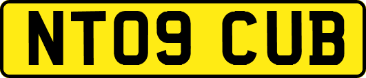 NT09CUB