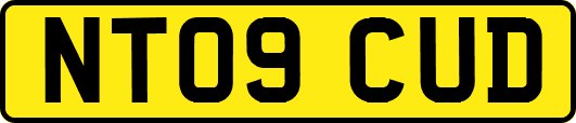 NT09CUD