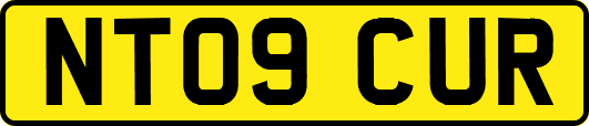 NT09CUR