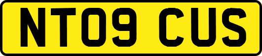 NT09CUS