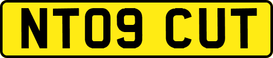 NT09CUT