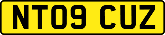NT09CUZ