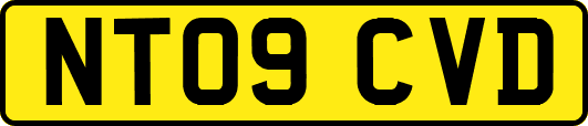 NT09CVD