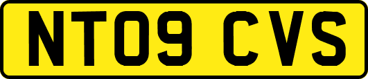 NT09CVS