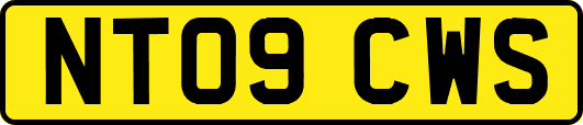 NT09CWS