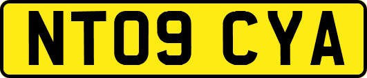 NT09CYA