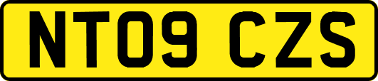 NT09CZS