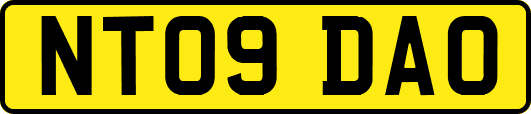 NT09DAO