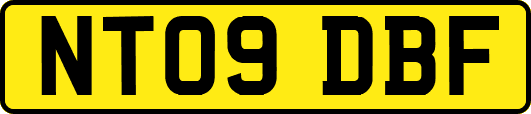 NT09DBF