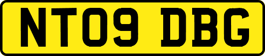 NT09DBG