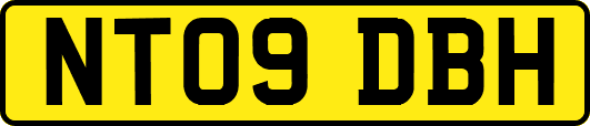 NT09DBH