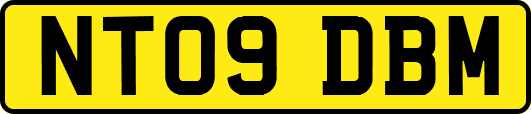 NT09DBM