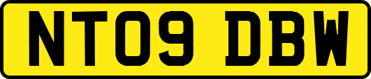 NT09DBW