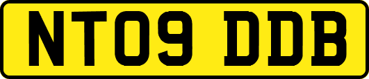 NT09DDB