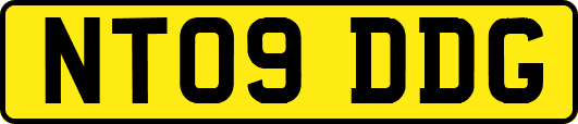NT09DDG