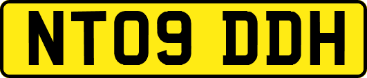 NT09DDH