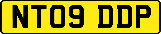 NT09DDP