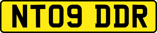 NT09DDR