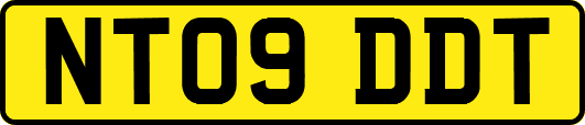 NT09DDT