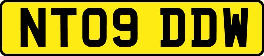 NT09DDW