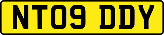 NT09DDY
