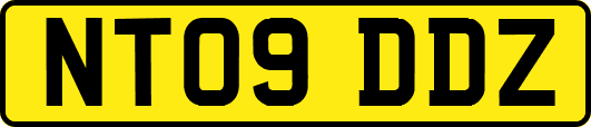 NT09DDZ