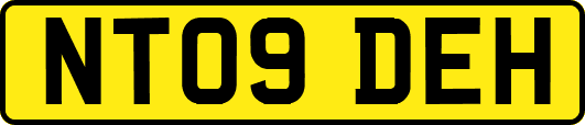 NT09DEH