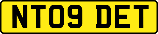 NT09DET