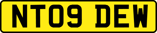 NT09DEW